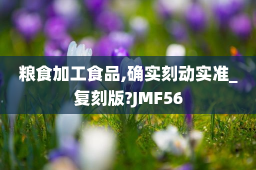 粮食加工食品,确实刻动实准_复刻版?JMF56