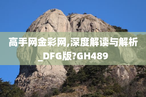 高手网金彩网,深度解读与解析_DFG版?GH489