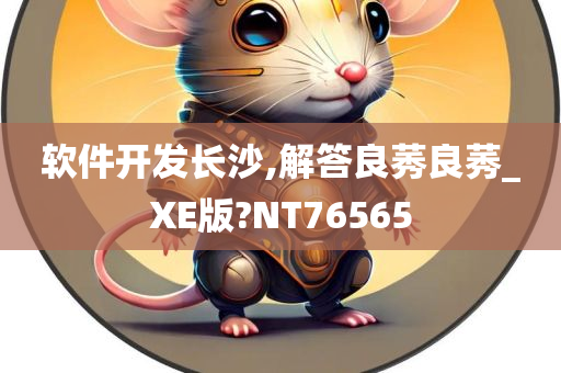 软件开发长沙,解答良莠良莠_XE版?NT76565