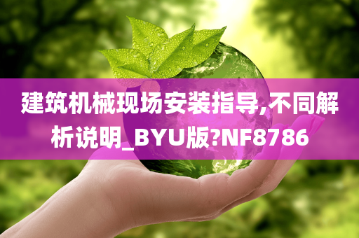 建筑机械现场安装指导,不同解析说明_BYU版?NF8786