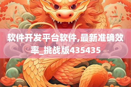 软件开发平台软件,最新准确效率_挑战版435435