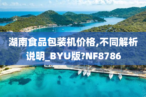 湖南食品包装机价格,不同解析说明_BYU版?NF8786