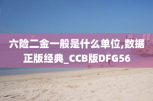 六险二金一般是什么单位,数据正版经典_CCB版DFG56