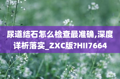 尿道结石怎么检查最准确,深度详析落实_ZXC版?HII7664