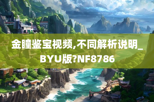 金瞳鉴宝视频,不同解析说明_BYU版?NF8786