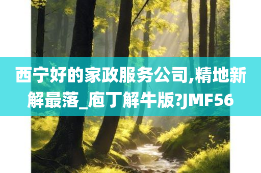 西宁好的家政服务公司,精地新解最落_庖丁解牛版?JMF56