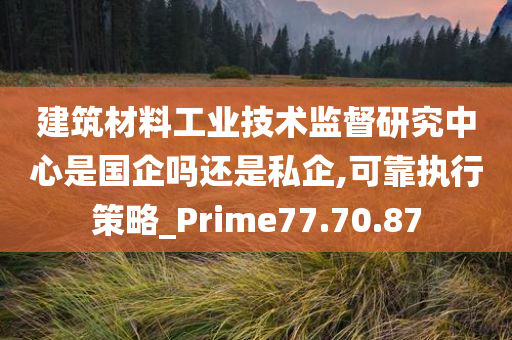 建筑材料工业技术监督研究中心是国企吗还是私企,可靠执行策略_Prime77.70.87