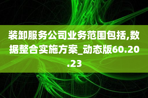 装卸服务公司业务范围包括,数据整合实施方案_动态版60.20.23