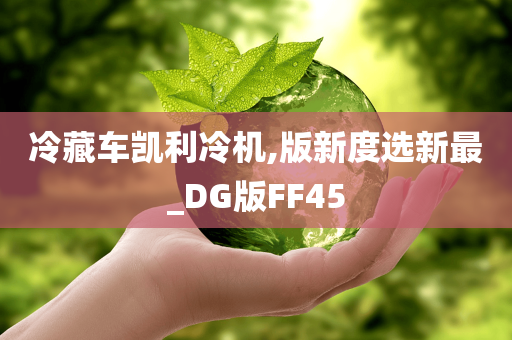 冷藏车凯利冷机,版新度选新最_DG版FF45