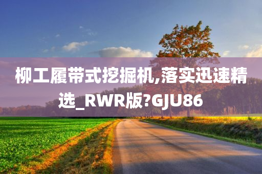 柳工履带式挖掘机,落实迅速精选_RWR版?GJU86