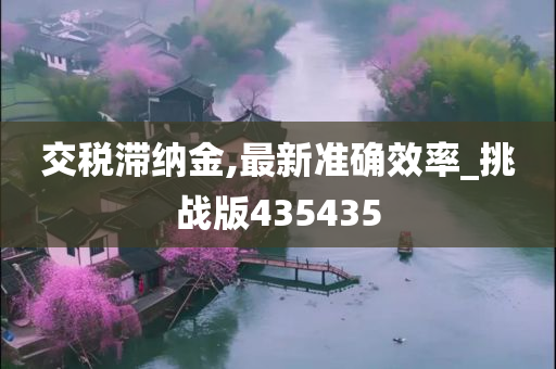 交税滞纳金,最新准确效率_挑战版435435