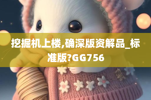 挖掘机上楼,确深版资解品_标准版?GG756