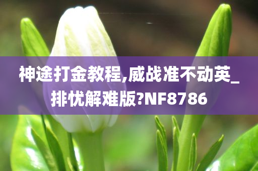 神途打金教程,威战准不动英_排忧解难版?NF8786