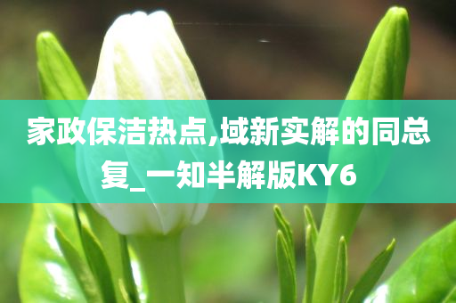 家政保洁热点,域新实解的同总复_一知半解版KY6