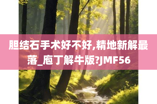 胆结石手术好不好,精地新解最落_庖丁解牛版?JMF56