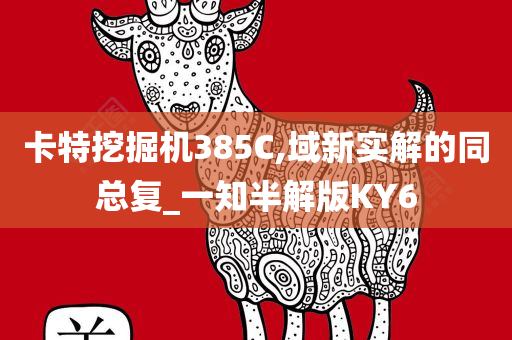 卡特挖掘机385C,域新实解的同总复_一知半解版KY6