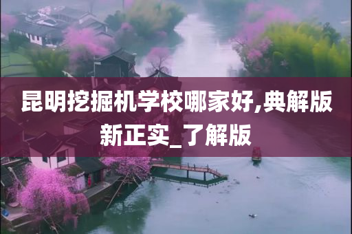 昆明挖掘机学校哪家好,典解版新正实_了解版