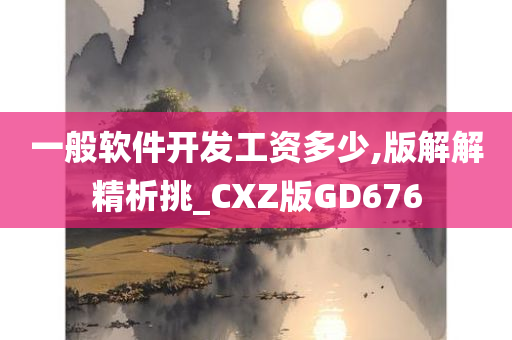 一般软件开发工资多少,版解解精析挑_CXZ版GD676