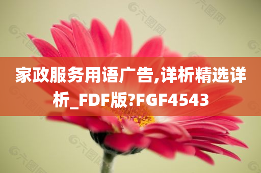 家政服务用语广告,详析精选详析_FDF版?FGF4543