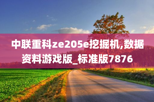 中联重科ze205e挖掘机,数据资料游戏版_标准版7876