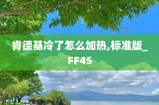 肯德基冷了怎么加热,标准版_FF45