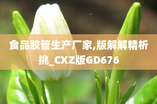 食品胶管生产厂家,版解解精析挑_CXZ版GD676