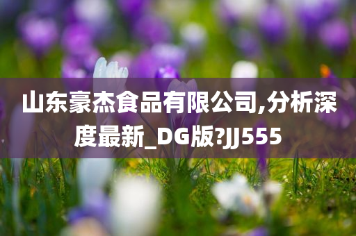 山东豪杰食品有限公司,分析深度最新_DG版?JJ555