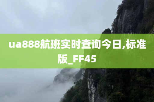 ua888航班实时查询今日,标准版_FF45