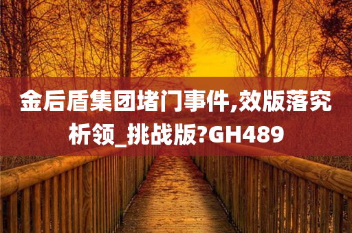 金后盾集团堵门事件,效版落究析领_挑战版?GH489