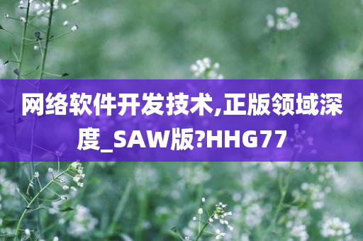 网络软件开发技术,正版领域深度_SAW版?HHG77