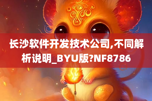 长沙软件开发技术公司,不同解析说明_BYU版?NF8786