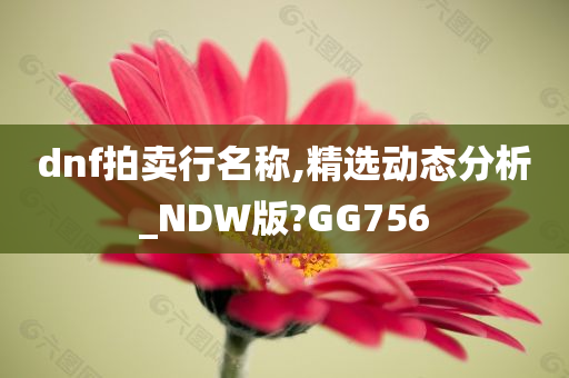 dnf拍卖行名称,精选动态分析_NDW版?GG756