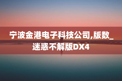 宁波金港电子科技公司,版数_迷惑不解版DX4