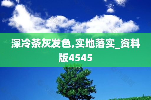 深冷茶灰发色,实地落实_资料版4545