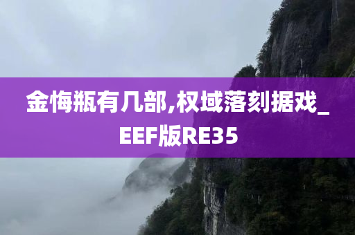 金悔瓶有几部,权域落刻据戏_EEF版RE35