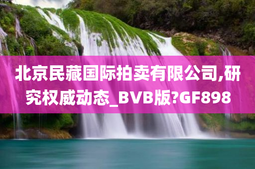 北京民藏国际拍卖有限公司,研究权威动态_BVB版?GF898