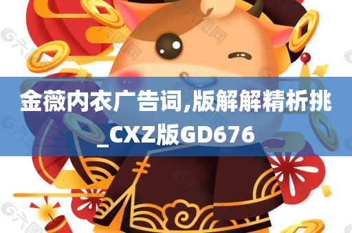 金薇内衣广告词,版解解精析挑_CXZ版GD676