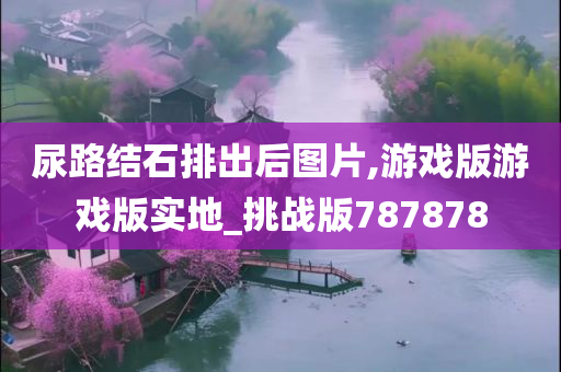 尿路结石排出后图片,游戏版游戏版实地_挑战版787878