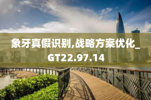 象牙真假识别,战略方案优化_GT22.97.14