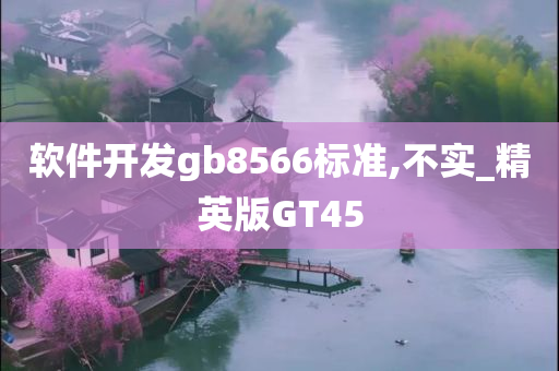 软件开发gb8566标准,不实_精英版GT45