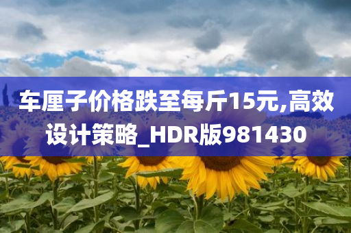 车厘子价格跌至每斤15元,高效设计策略_HDR版981430