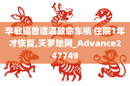 李敏镐曾遭遇致命车祸 住院1年才恢复,天罗地网_Advance247749