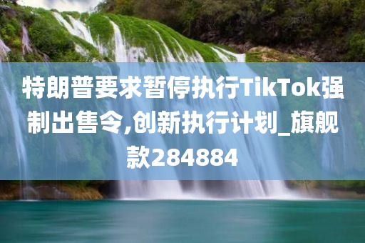 特朗普要求暂停执行TikTok强制出售令,创新执行计划_旗舰款284884