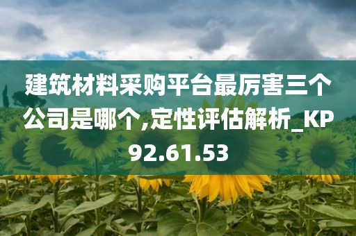 建筑材料采购平台最厉害三个公司是哪个,定性评估解析_KP92.61.53