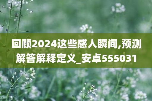 回顾2024这些感人瞬间,预测解答解释定义_安卓555031