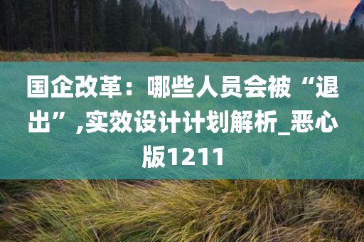 国企改革：哪些人员会被“退出”,实效设计计划解析_恶心版1211