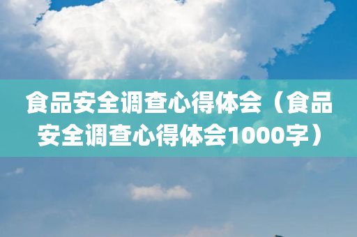 食品安全调查心得体会（食品安全调查心得体会1000字）