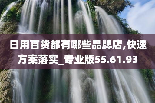 日用百货都有哪些品牌店,快速方案落实_专业版55.61.93