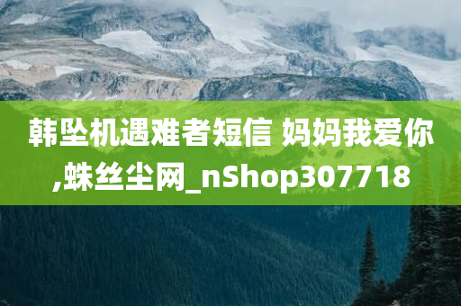 韩坠机遇难者短信 妈妈我爱你,蛛丝尘网_nShop307718