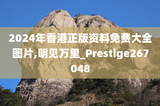 2024年香港正版资料免费大全图片,明见万里_Prestige267048